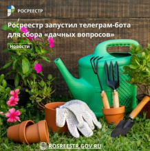 Приватизация дачных участков. Приватизация дачных участков.
