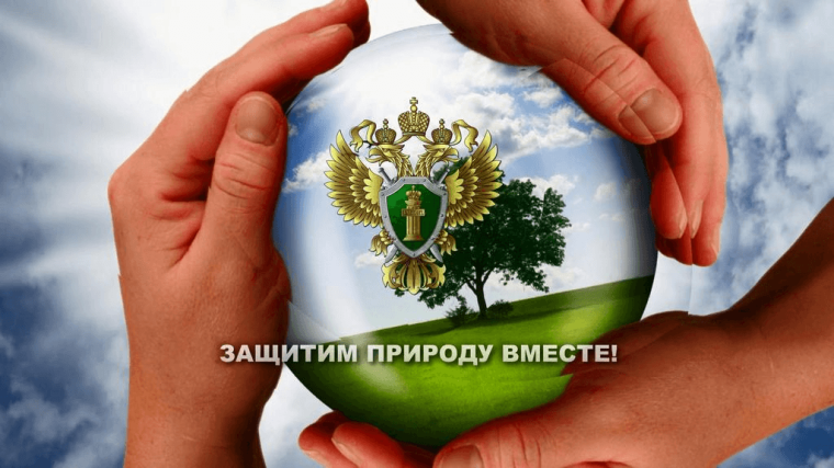 Законодательство в сфере экологии. Законодательство в сфере экологии.